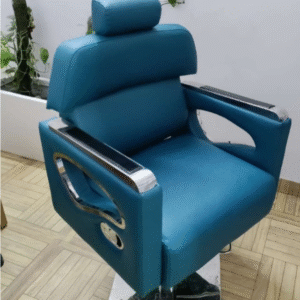 Mayur premium chair